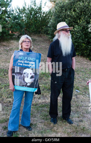 Oman Senior holding placard 'Aide fin longue distance transport live' et man avec une très longue barbe blanche debout à côté d'elle au cours des manifestations de Ramsgate contre les exportations d'animaux vivants vers l'Europe à partir de ce port. Banque D'Images