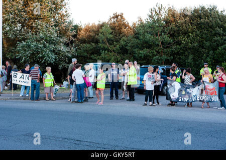 Les exportations en direct 'Ban' manifestants debout sur côté de route principale dans Ramsgate lors d'une manifestation pacifique contre les exportations de la ville. Certaines plaques. holding Banque D'Images