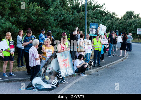 Les exportations en direct 'Ban' manifestants debout sur côté de route principale dans Ramsgate lors d'une manifestation pacifique contre les exportations de la ville. Certaines plaques. holding Banque D'Images