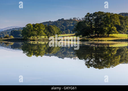 Réflexions sur l'Esthwaite Water, près de près de Sawrey, Lake District, Cumbria Banque D'Images