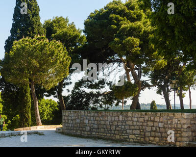 Rovinj, Croatie,vue sur Rovinj, tree top,tv,antennes tower Banque D'Images