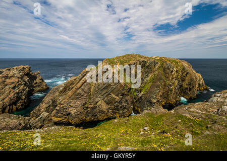 Bird rock et la côte sauvage du cap Bonavista, Terre-Neuve et Labrador, Canada. Banque D'Images