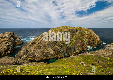 Bird rock et la côte sauvage du cap Bonavista, Terre-Neuve et Labrador, Canada. Banque D'Images