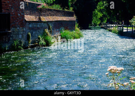 La RIVIÈRE ITCHEN WINCHESTER, LA NAVIGATION À PIED. Banque D'Images