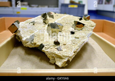 Gros cubes de pyrite sur grès un Banque D'Images