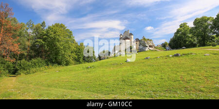 Vue panoramique sur le château médiéval de Szczecin village. Pologne / Panorama Banque D'Images