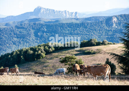 Bugarach,New Age,pic de, peak,de,Aude,hippie,OVNI, pic Banque D'Images