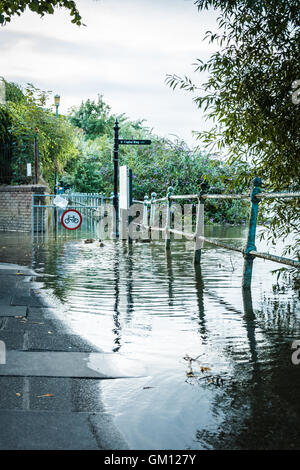 L'eau haute et d'inondation sur la Tamise à Twickenham, London, UK Banque D'Images