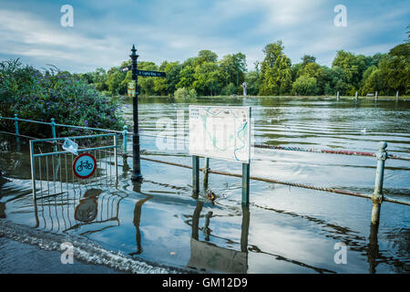 Hautes eaux et inondations sur la Tamise à Twickenham, Londres, Royaume-Uni Banque D'Images