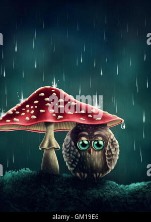 Petit hibou assis sous les champignons Banque D'Images