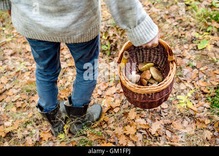 Méconnaissable man holding panier avec mushooms, forêt d'automne Banque D'Images