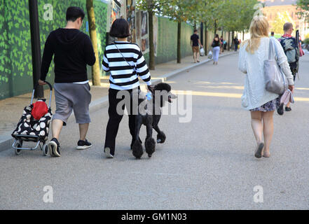 Asian couple branché sur le Boulevard du Roi, la position à Kings Cross, au nord de Londres, Angleterre, RU Banque D'Images