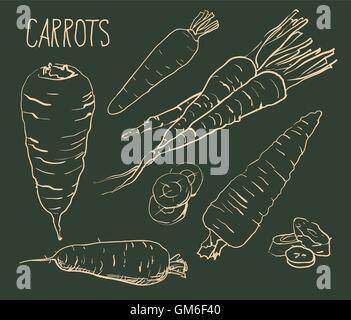 Mettre les carottes isolé sur fond blanc. Illustration de Vecteur