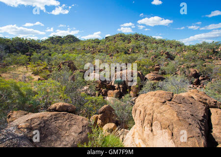 O'Brien's Creek Landscape Banque D'Images