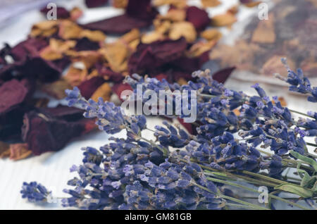 Libre à fleurs lavande séchées et pétales de rose Banque D'Images