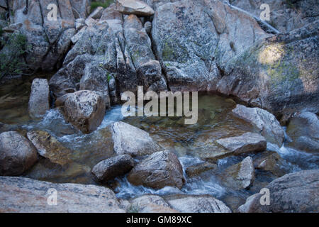 Piscine cascade alpine à Hoover & Yosemite Wilderness, Humbolt-Toiyabe National Forest, Californie Banque D'Images