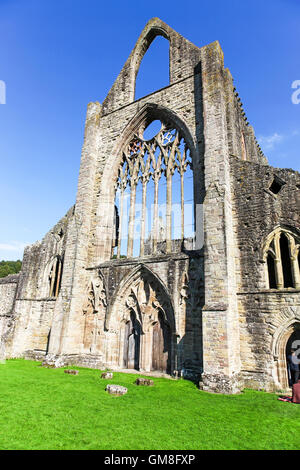 Ruines de l'abbaye de Tintern Monmouthshire au Pays de Galles UK Banque D'Images