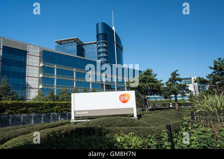 Extérieur de la siège de GSK à Brentford sur la Great West Road. Banque D'Images