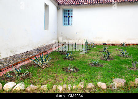 Petit jardin à côté d'une église à Villa de Leyva, Colombie Banque D'Images