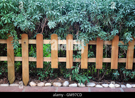 Clôture et lavande de couverture Banque D'Images