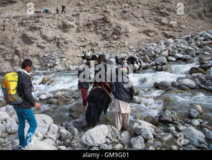 Treck dans les montagnes du Pamir avec yacks, Grand pamir, Afghanistan, Wakhan Banque D'Images