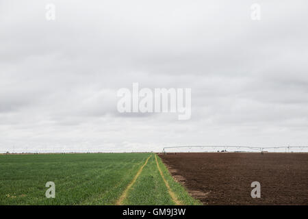 Les traces de pneus dans la région de green field Banque D'Images