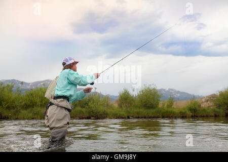 Colorado, Mid adult man wading et la pêche en rivière Banque D'Images