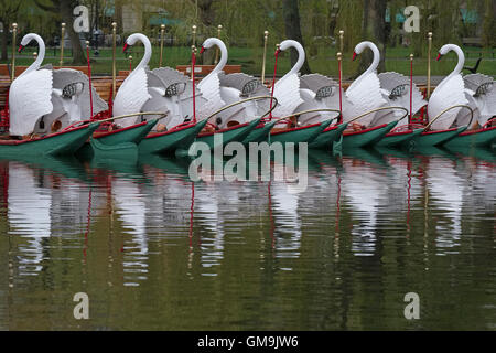 Massachusetts, Boston, Swan boats dans Boston Public Garden Banque D'Images