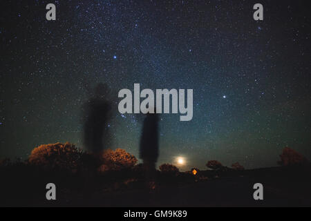 L'Australie, l'Outback, Territoire du Nord, au centre rouge de l'Ouest, Plages Macdonnel, Kings Canyon, arbres en plaine sur la nuit étoilée Banque D'Images
