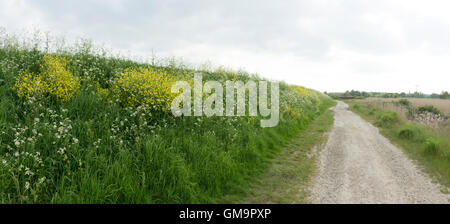 Dernières ALESAGE GHQ (bunkers, gardant l'ancienne ligne GHQ, plus cultivé, à partir de la gauche du feuillage d'un autre âge, de la peur, Banque D'Images