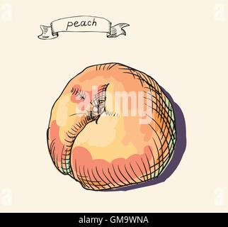 Peach vector illustration Illustration de Vecteur