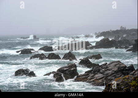 Éclaboussures des vagues contre la côte rocheuse Banque D'Images