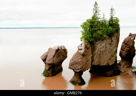 Hopewell Rocks - Nouveau-Brunswick - Canada Banque D'Images