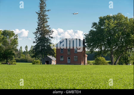 Maison de ferme abandonnée in grassy field Banque D'Images