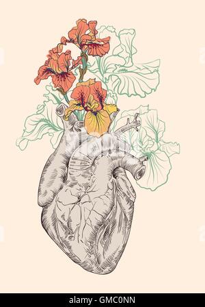 Dimensions coeur humain avec des fleurs Illustration de Vecteur