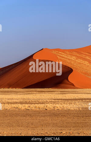 La Dune 45 dune star composé de 5 millions d'ans sable Sossusvlei désert du Namib Naukluft National Park en Afrique Namibie Banque D'Images