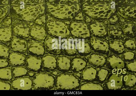 Vecteur réaliste ou alligator crocodile peau verte ou texture de cuir ou d'arrière-plan, eps 10. Illustration de Vecteur