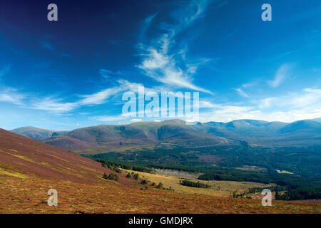 Plus Bynack, Cairn Gorms et dans le Nord de Corries Creagan Gorm, Aviemore, parc national de Cairngorm, Highland Banque D'Images