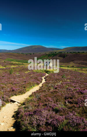 Ryvoan Bothy à la base d'un Bhuachaille Meall, Réserve naturelle d'Abernethy, Aviemore, parc national de Cairngorm, Highland Banque D'Images