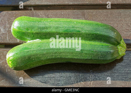 Une paire de frères siamois, courgettes courgette variété Banque D'Images