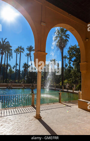 Estanque de Mercurio (mercure), la piscine et le Jardín de las Damas au-delà, l'Alcázar de jardins, Sevilla, Andalousie, Espagne Banque D'Images