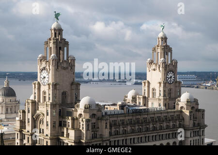 Les oiseaux du foie à la rivière Mersey à Liverpool, Banque D'Images