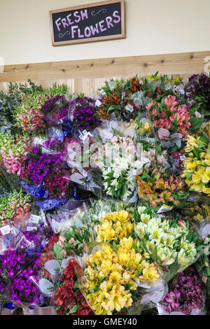 Des fleurs fraîches, produire, Trader Joe's Épicerie spécialisée, NYC Banque D'Images