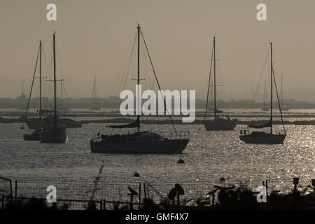 L'île de Mersea, Essex, le 25 août 2016. La fin de l'après-midi le soleil brille sur l'eau, silhouetting les nombreux yachts amarrés à West Mersea. Crédit : Paul Davey/Alamy Live News Banque D'Images