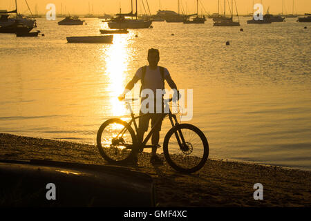 L'île de Mersea, Essex, le 25 août 2016. Un cycliste bénéficie de la lumière du soleil du soir, sur l'eau à West Mersea. Crédit : Paul Davey/Alamy Live News Banque D'Images