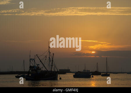 L'île de Mersea, Essex, le 25 août 2016. Coucher du soleil vu de West Mersea, une île sur la côte d'Essex. Crédit : Paul Davey/Alamy Live News Banque D'Images