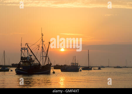 L'île de Mersea, Essex, le 25 août 2016. Coucher du soleil vu de West Mersea, une île sur la côte d'Essex. Crédit : Paul Davey/Alamy Live News Banque D'Images