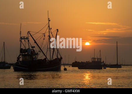 L'île de Mersea, Essex, le 25 août 2016. Coucher du soleil vu de West Mersea, une île sur la côte d'Essex. Crédit : Paul Davey/Alamy Live News Banque D'Images