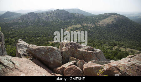 Lawton, Oklahoma, USA. 8e août 2016. Créé en 1901, Wichita Mountains Wildlife Refuge près de Lawton, Oklahoma, est une des plus de 556 refuges gérés à travers les États-Unis. Les 59 020 acres refuge accueille une pièce rare du passé. Le refuge offre un habitat pour les grands herbivores indigènes comme le bison d'Amérique, Rocky Mountain Elk et le cerf de Virginie. Bovins Texas Longhorn partagent également le refuge de parcours comme un héritage culturel et historique des espèces. Lorsque le président Teddy Roosevelt voulait réintroduire le bison à l'état sauvage, il s'est déplacé de l'bisons New York City Zoo - le sur Banque D'Images