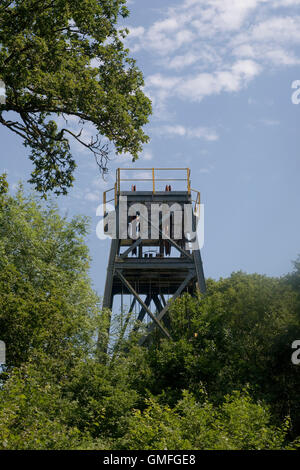 Haut de l'arbre à Dolaucothi Mines d'Or Banque D'Images